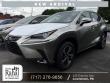 LEXUS NX 300