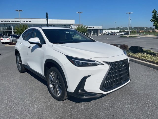 2026 Lexus NX 350 Premium photo 3