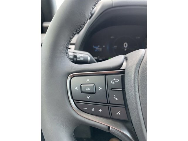 2025 Lexus UX - Photo 16