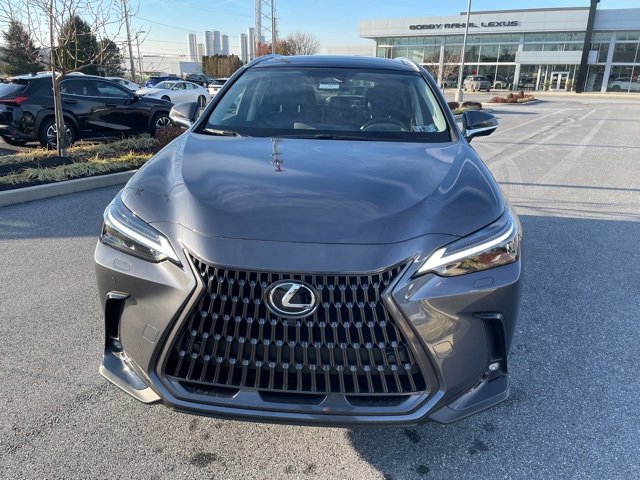 2026 Lexus NX Luxury AWD photo 2