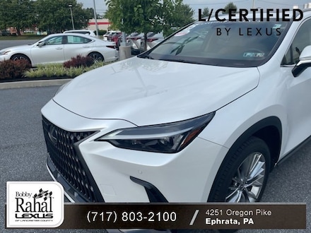2025 LEXUS NX 350 PREMIUM Sport Utility