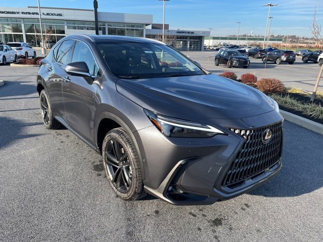 2026 Lexus NX Luxury AWD photo 3