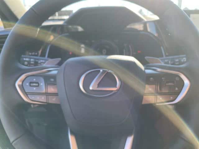 2026 Lexus NX 450h+ Premium - Photo 20