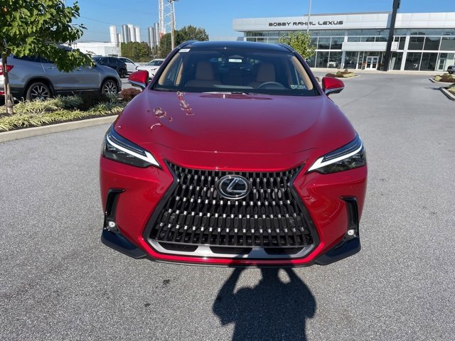 2026 Lexus NX 350h Luxury photo 2