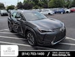  LEXUS UX 300h