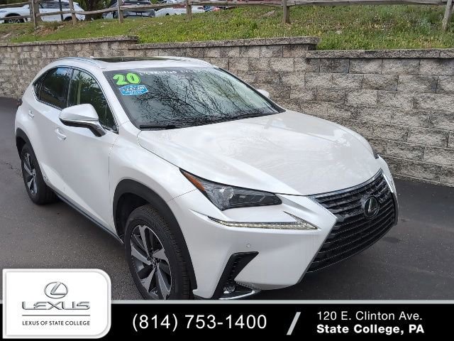 2020 Lexus NX 350h 300h AWD's photo
