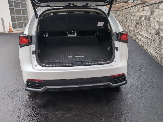 2020 Lexus NX Hybrid 300h - Photo 28