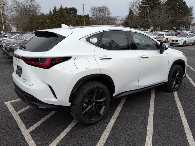 2026 Lexus NX 450h+ Luxury - Photo 8