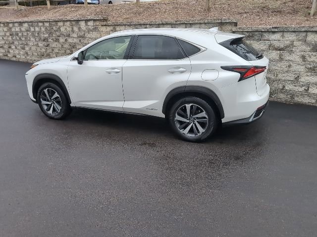 2020 Lexus NX Hybrid 300h - Photo 7