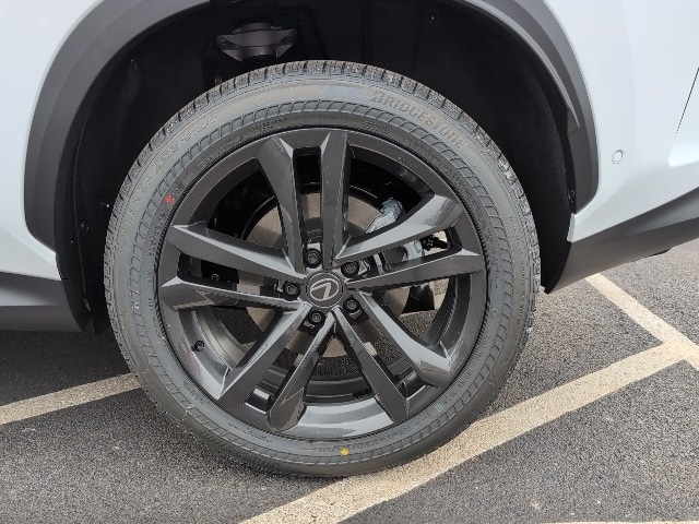 2026 Lexus NX 450h+ Luxury - Photo 11