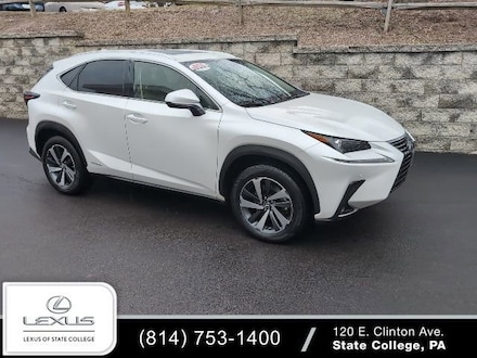 2020 LEXUS NX 300h Sport Utility