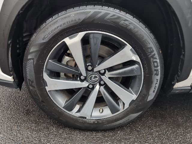 2020 Lexus NX Hybrid 300h - Photo 10