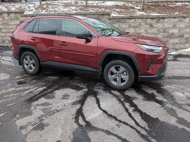2024 Toyota RAV4 LE's photo