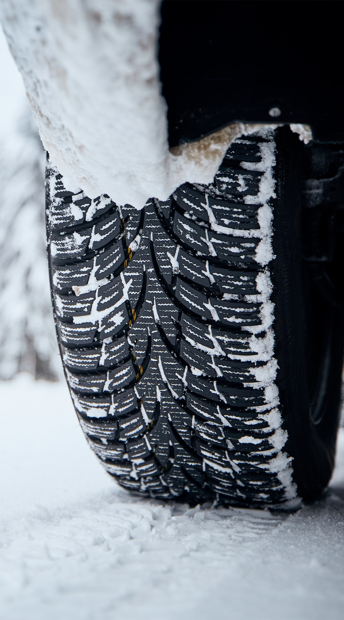 Winter Tires vs. All Season Tires at Bobby Rahal Toyota in Mechanicsburg, PA | Winter tires on car driving on the snow