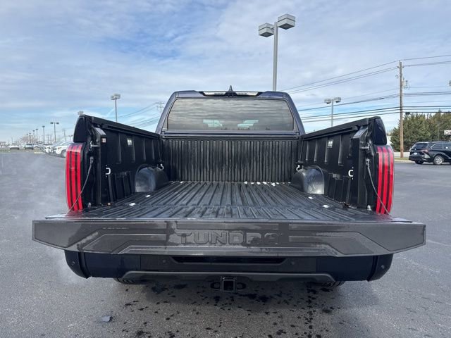 2026 Toyota Tundra Platinum - Photo 15