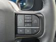 2026 Ford F-250 Platinum TRUCK