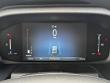 2026 Ford Transit 250 Cargo XL MR VAN