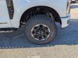 2026 Ford F-250 Platinum TRUCK
