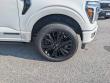 2026 Ford F-150 Platinum TRUCK