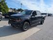 2026 Ford F-150 Tremor TRUCK