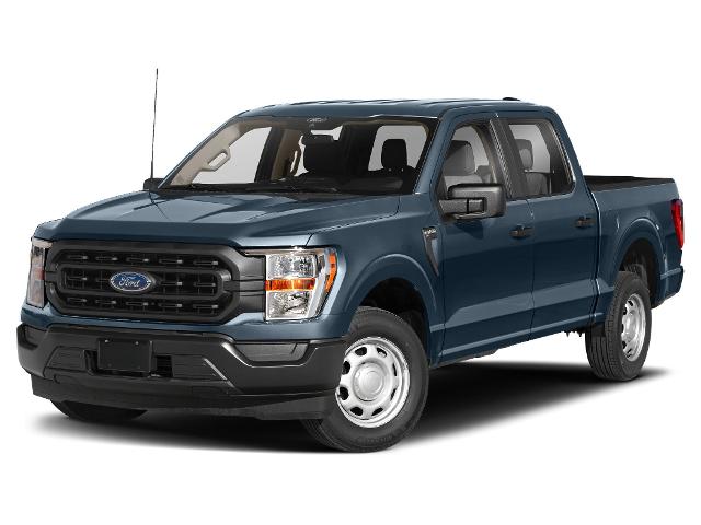 2022 Ford F-150 Platinum's photo