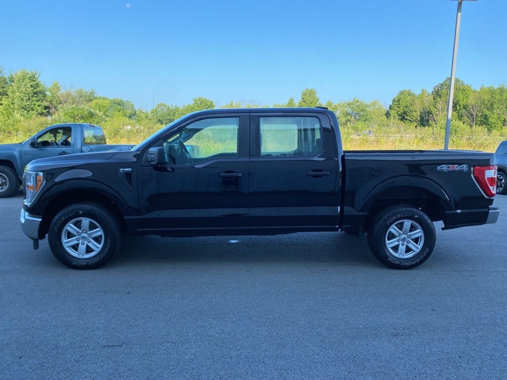 2021 Ford F-150 XL photo 4