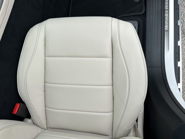 2025 Mercedes-Benz GLS Base - Photo 39