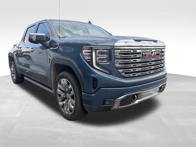2025 Gmc Sierra 1500 Denali photo 3