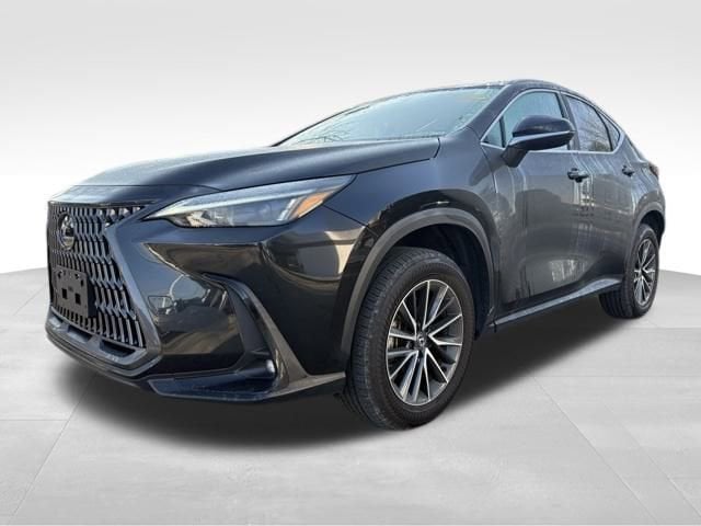 2025 Lexus NX Base's photo