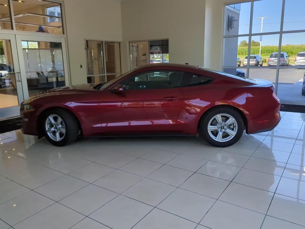 Used 2019 Ford Mustang EcoBoost with VIN 1FA6P8TH4K5122619 for sale in Peoria, IL