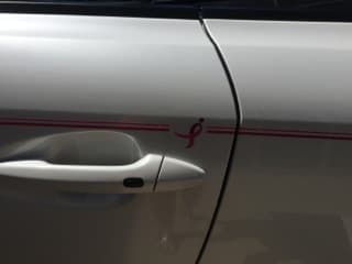 Susan G. Komen For The Cure Pinstriping on near door handle of car