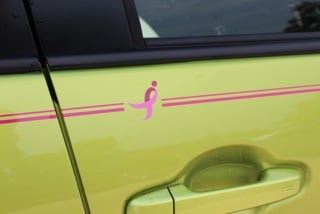 Susan G. Komen For The Cure Pinstriping on door of car