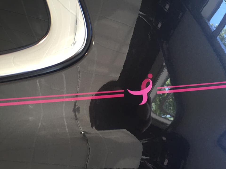 Susan G. Komen For The Cure Pinstriping on Car