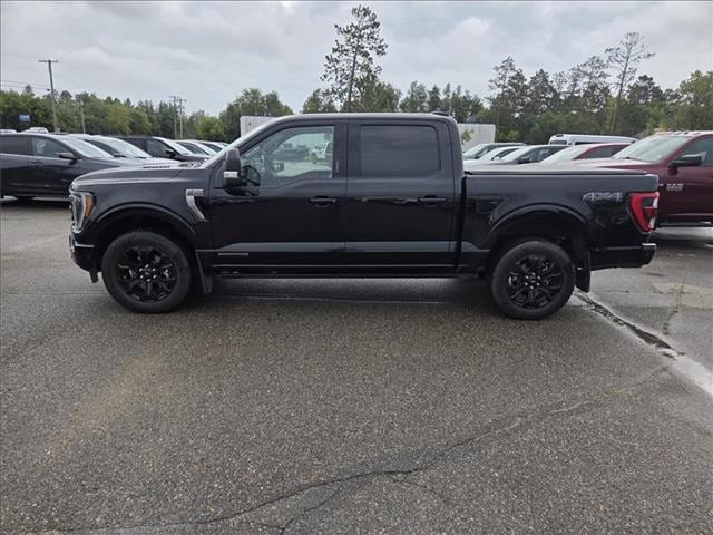 2023 Ford F-150 Platinum's photo