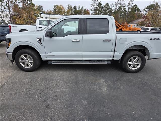 2024 Ford F-150 XLT's photo