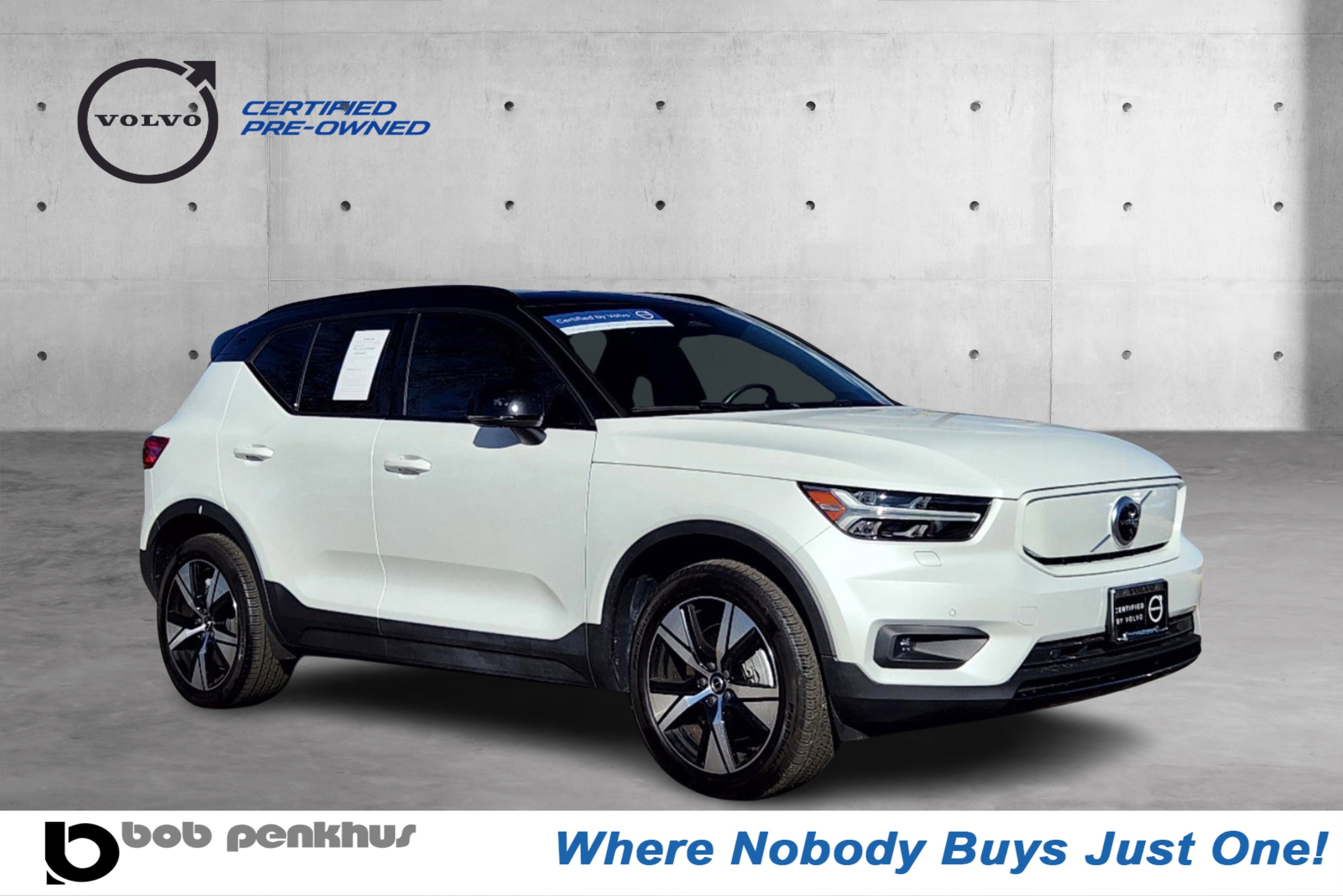 Xc40p8 2024