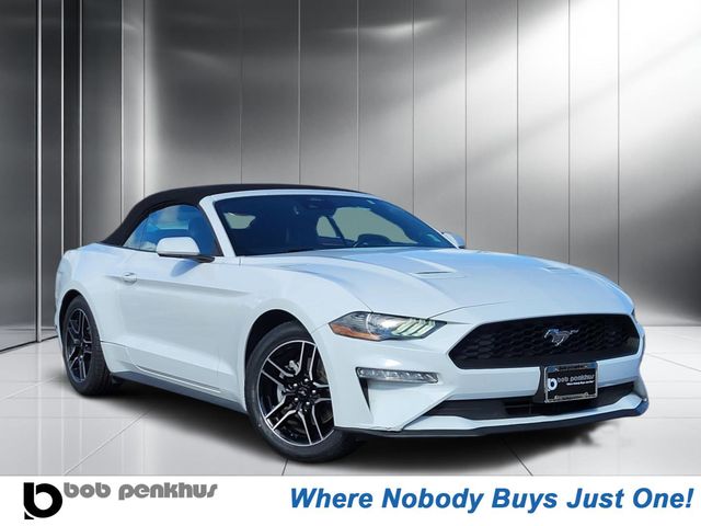 2023 Ford Mustang EcoBoost Premium Convertible's photo