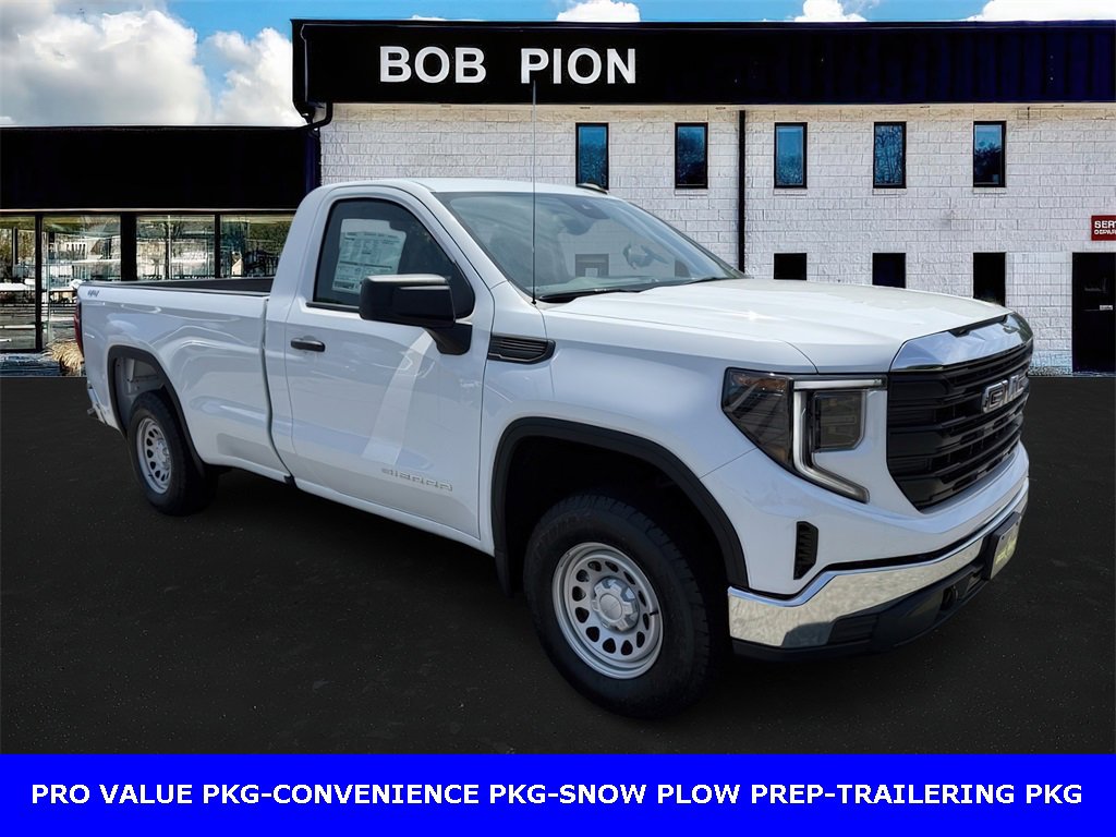 2025 Gmc Sierra 1500 Pro photo 3
