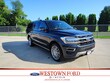 Ford Expedition Max
