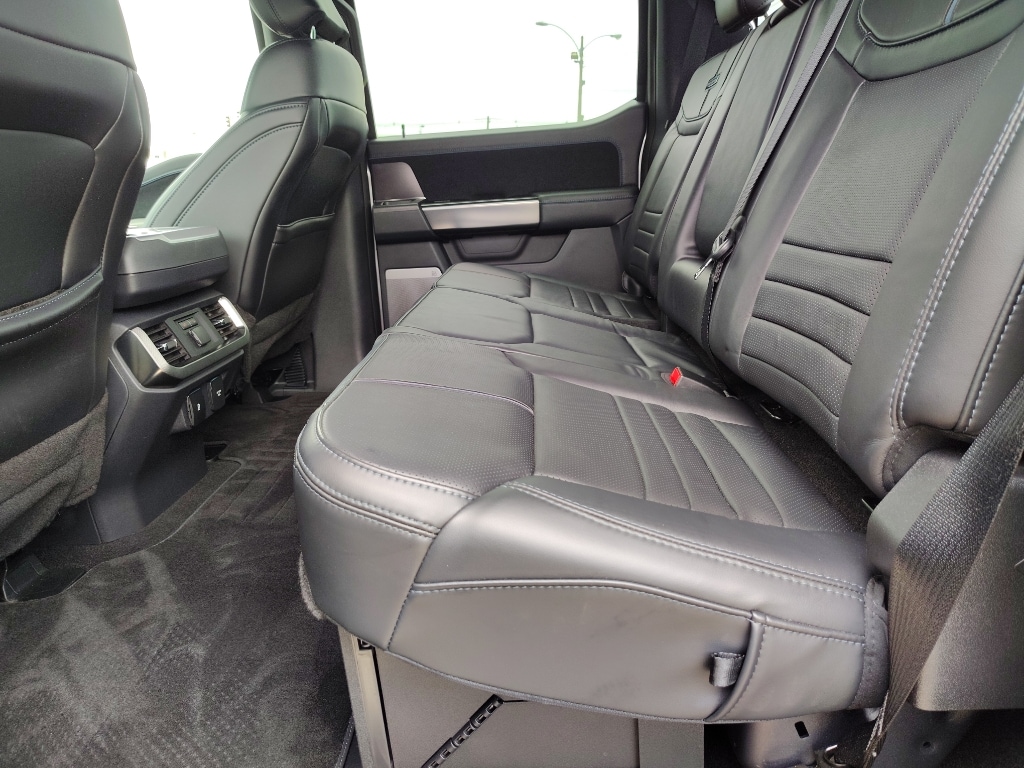 2024 Ford F-150 Platinum - Photo 19