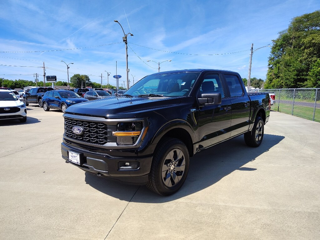 2025 Ford F-150 STX photo 3