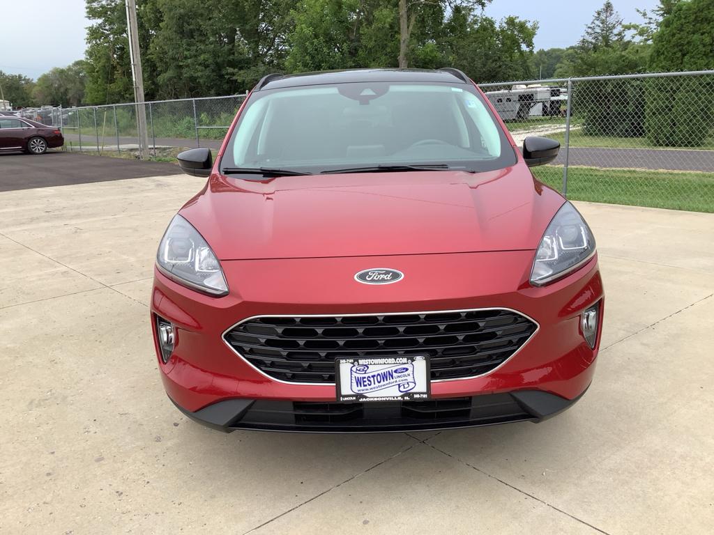 Used 2021 Ford Escape SEL with VIN 1FMCU9H96MUB14071 for sale in Jacksonville, IL