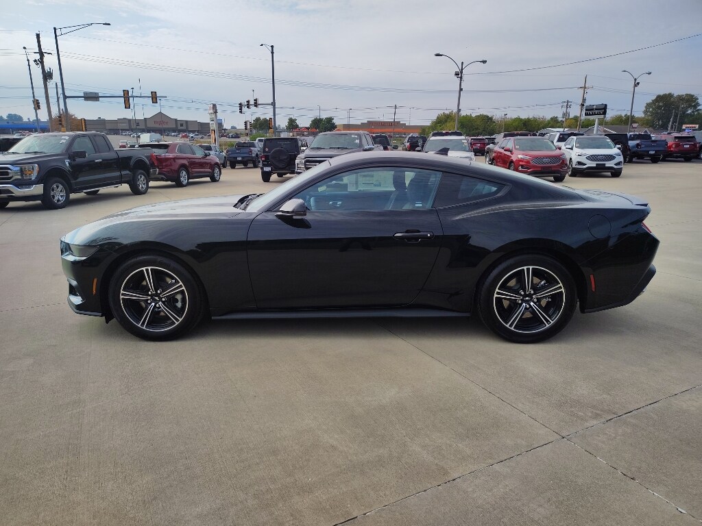 2025 Ford Mustang EcoBoost Premium photo 4