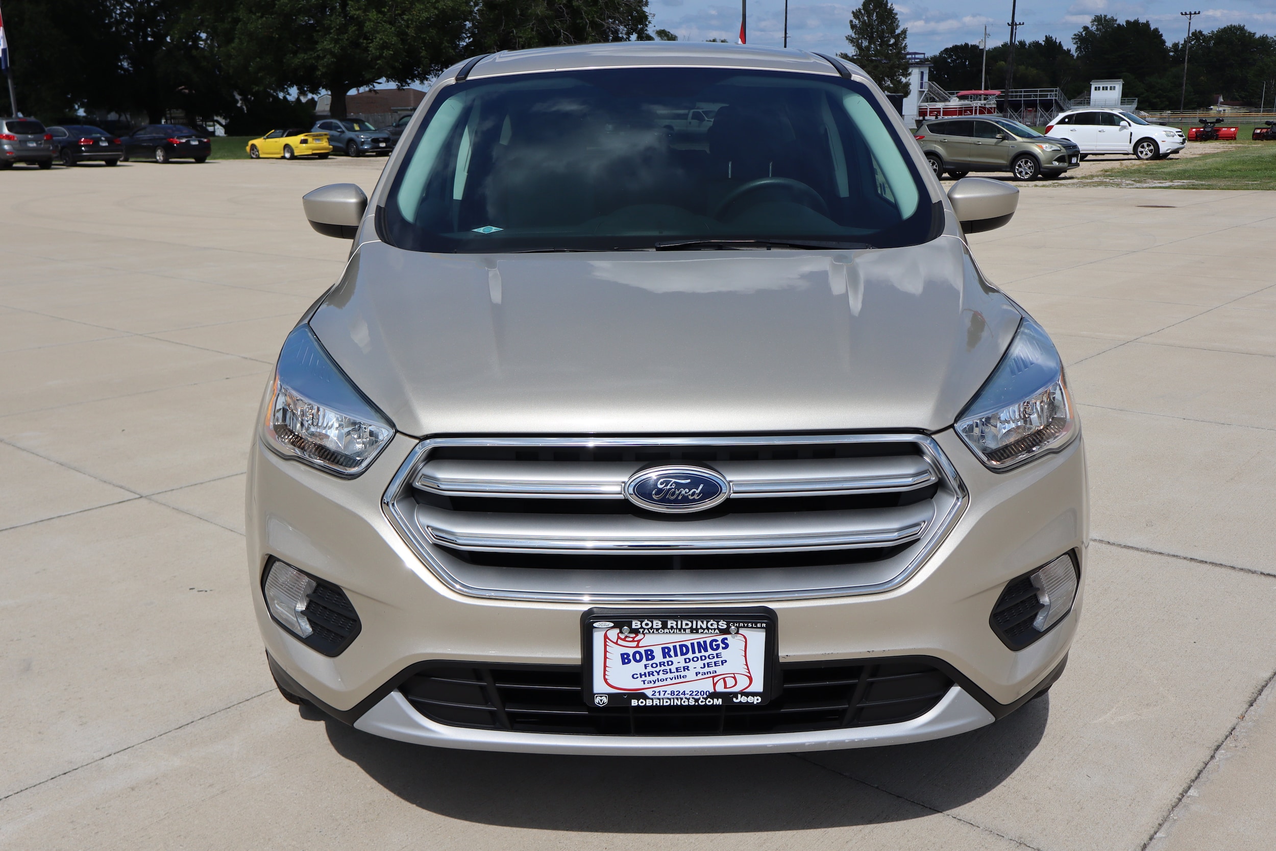 Used 2017 Ford Escape SE with VIN 1FMCU0GD7HUE06531 for sale in Taylorville, IL