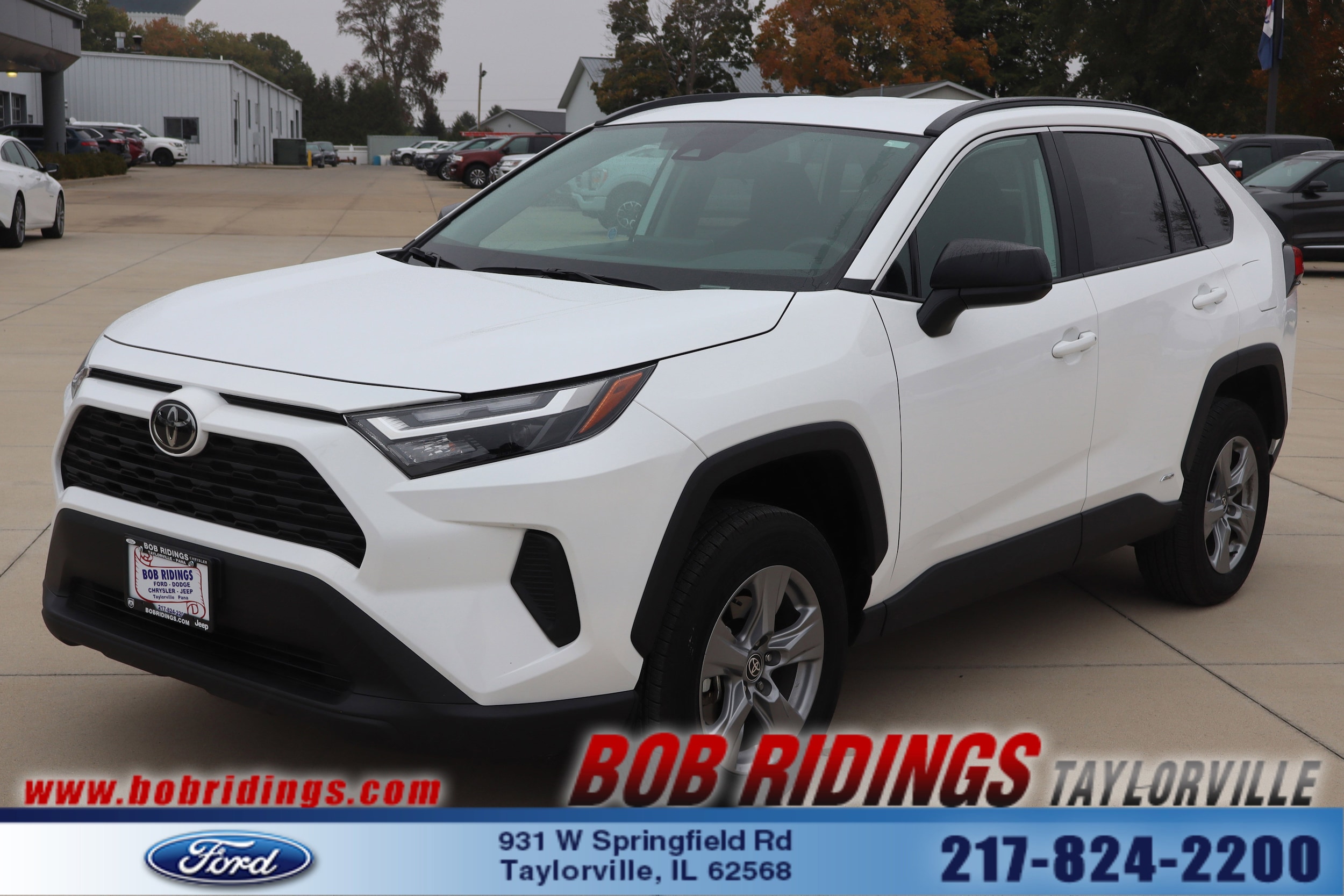 2025 Toyota RAV4 LE's photo