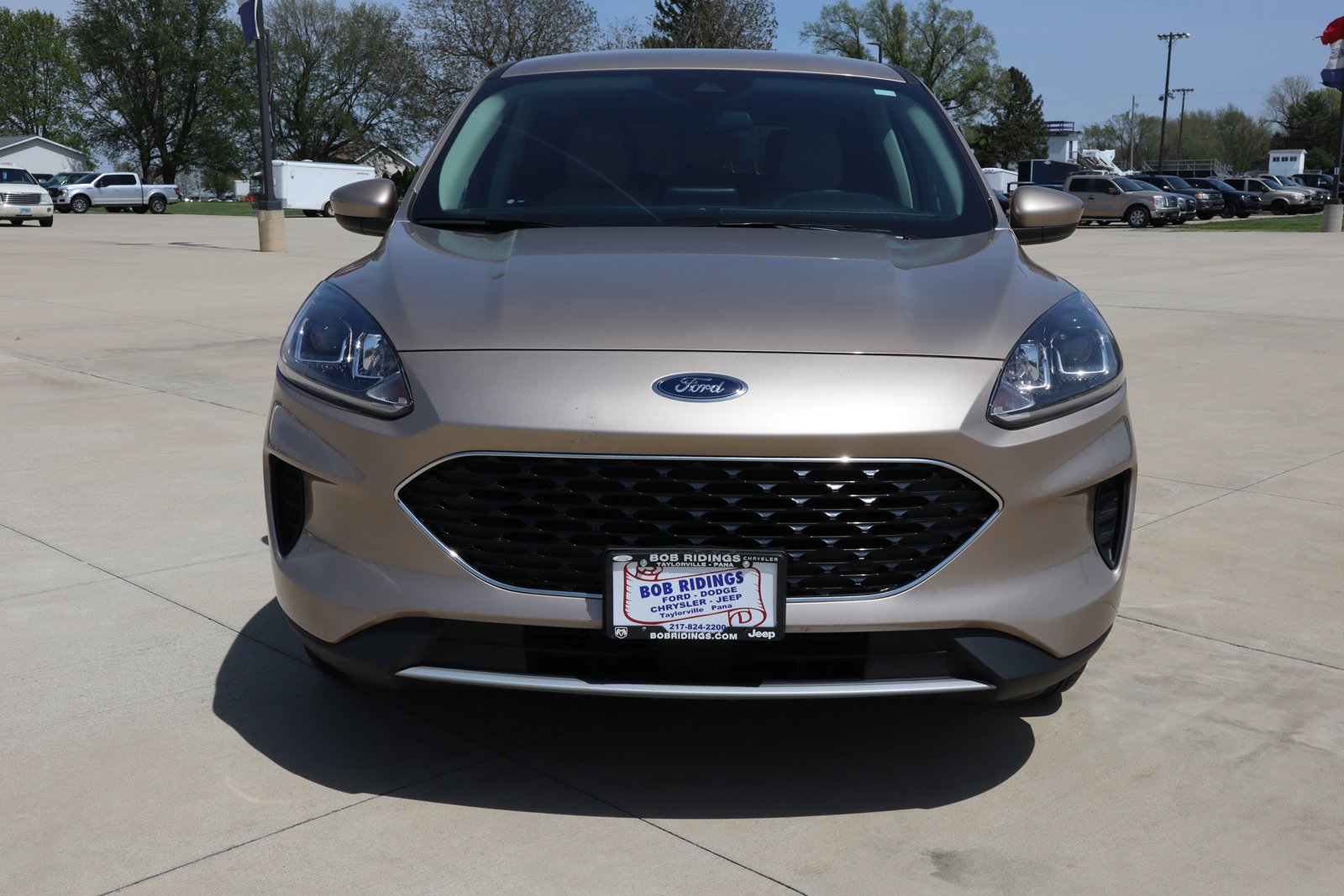 Used 2020 Ford Escape SE with VIN 1FMCU0G65LUB64316 for sale in Taylorville, IL