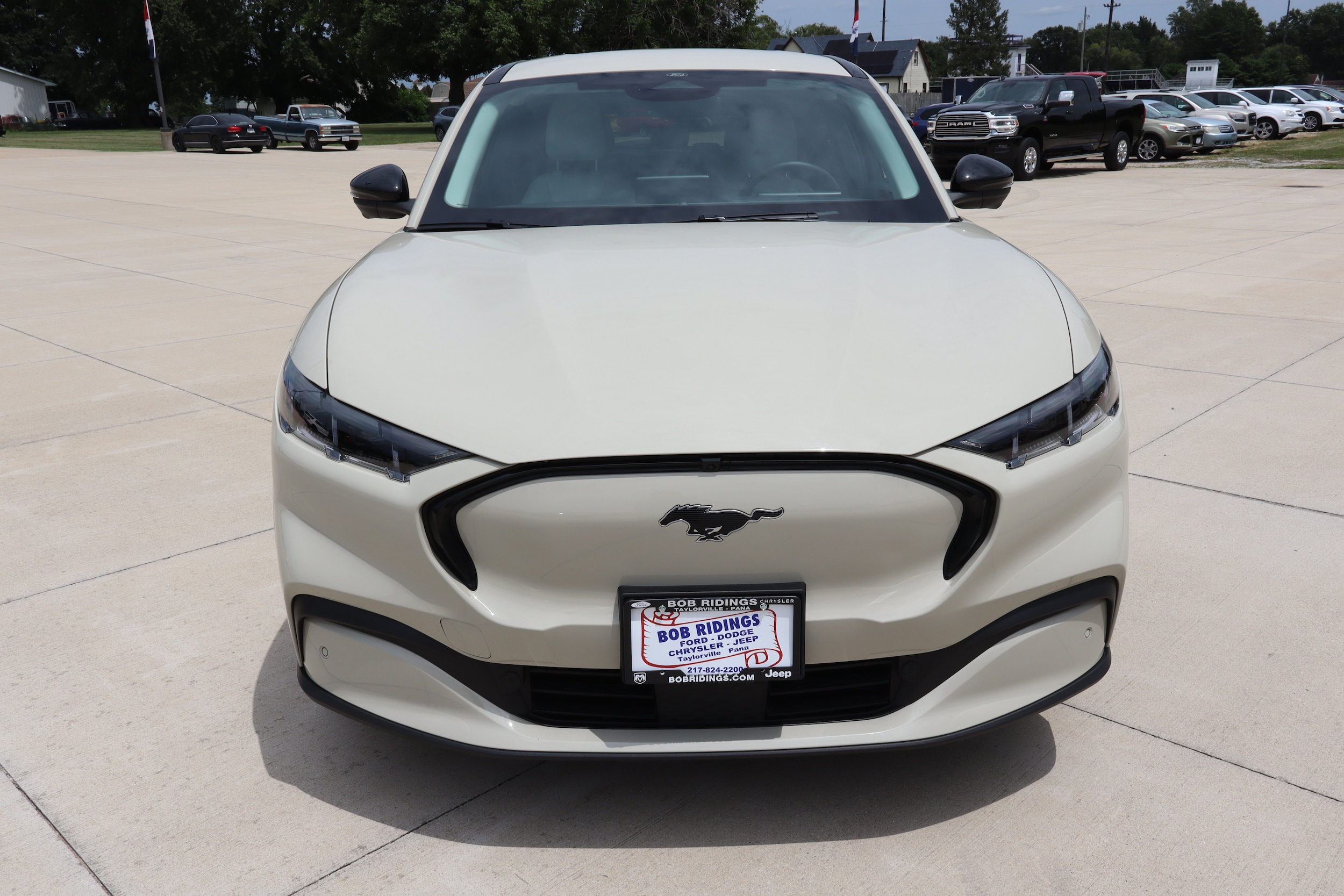 Used 2025 Ford Mustang Mach-E Premium AWD with VIN 3FMTK3S50SMA05597 for sale in Taylorville, IL