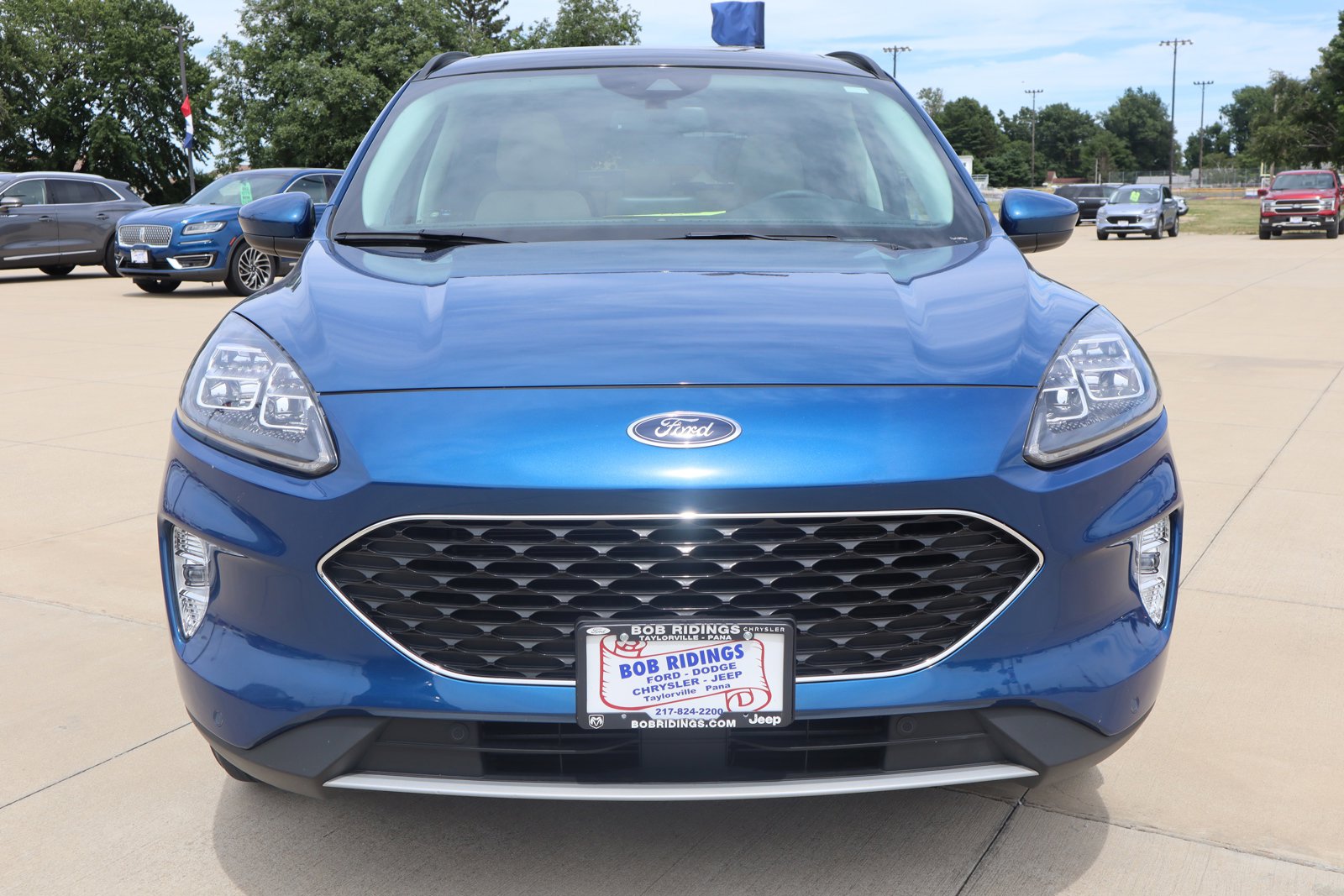 Used 2022 Ford Escape Titanium with VIN 1FMCU9J98NUA59036 for sale in Taylorville, IL