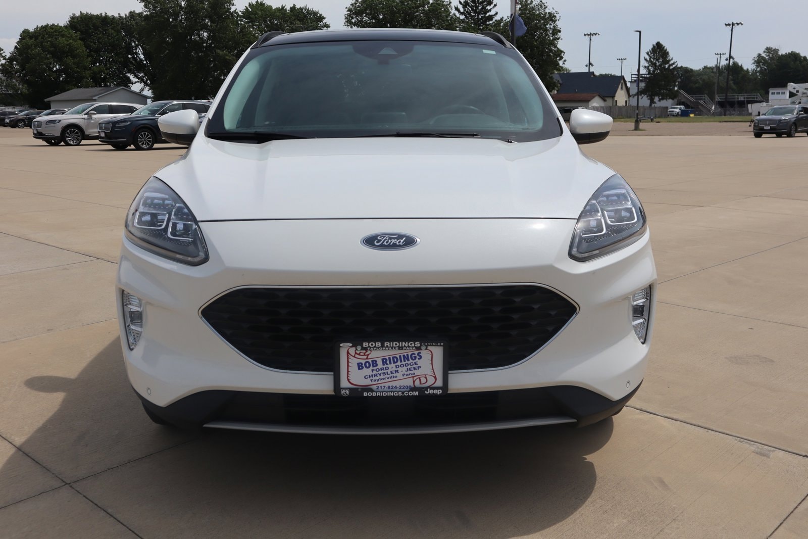 Used 2021 Ford Escape Titanium with VIN 1FMCU9J95MUA78626 for sale in Taylorville, IL