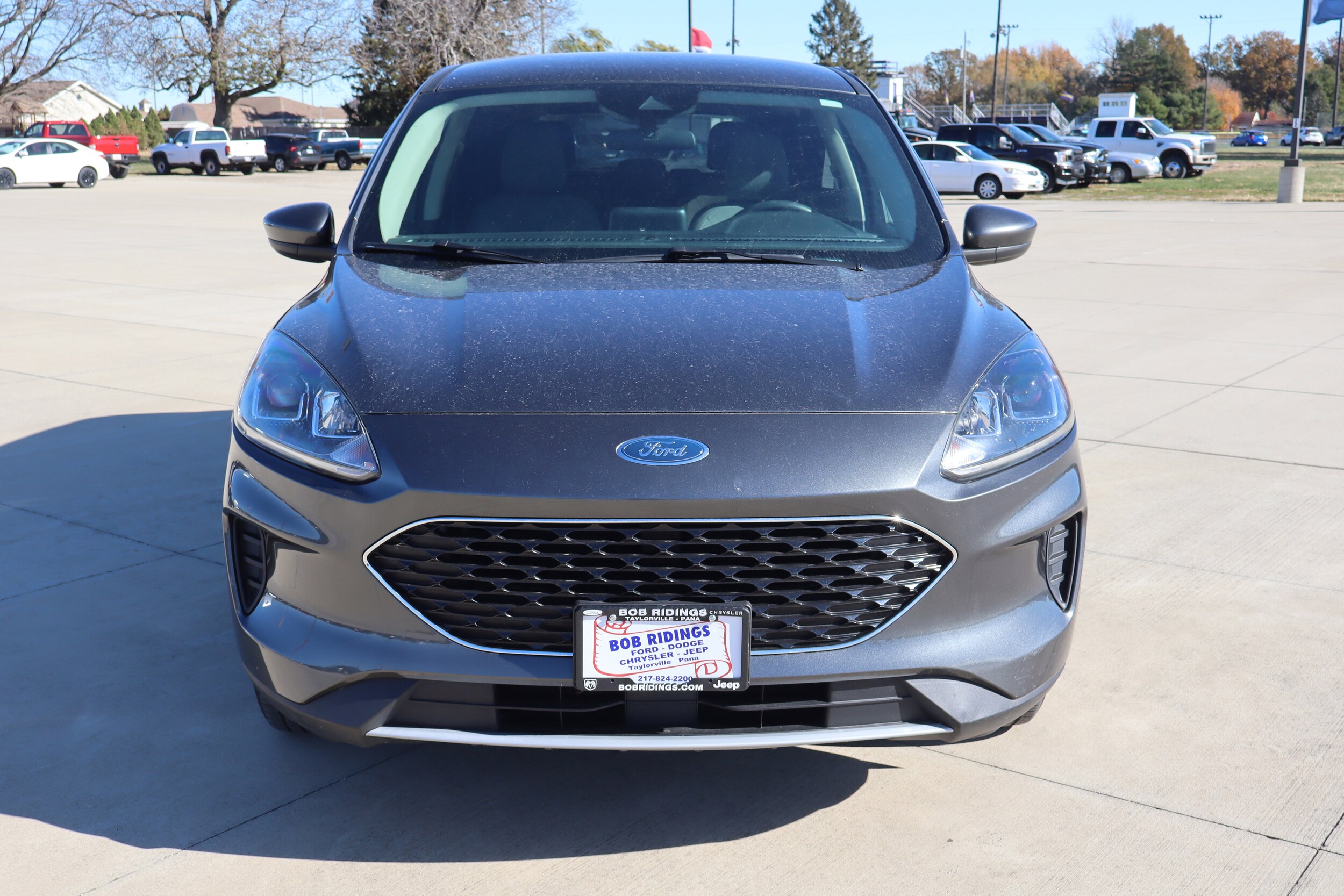 2020 Ford Escape SE photo 2